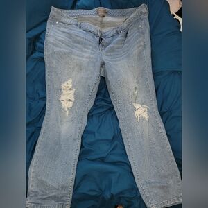 Women's Distressed Blue Jeans
